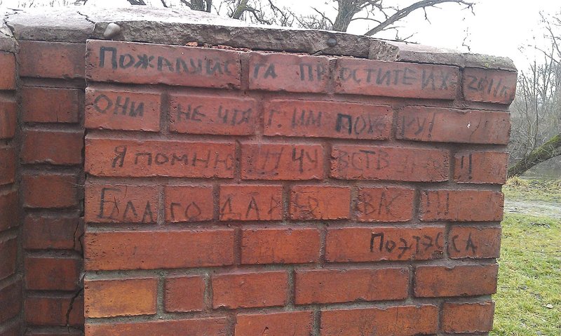 IMAG0160_1.jpg (499.28 Кб) Просмотров: 18881 IMAG0160_1.jpg