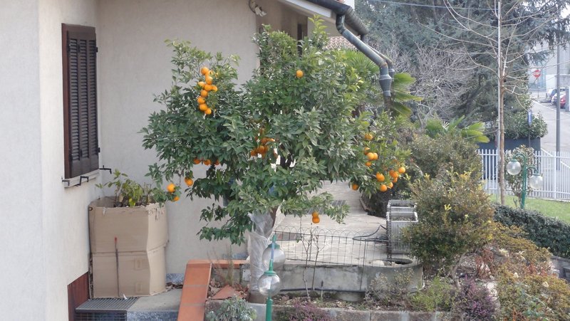 DSC01934.JPG (1.7 Мб) Просмотров: 29247 DSC01934.JPG