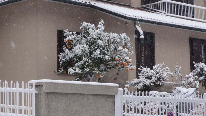 DSC01980.JPG (1.61 Мб) Просмотров: 29246 DSC01980.JPG