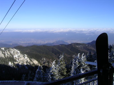 545.JPG