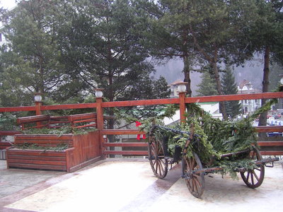 PICT0329.JPG