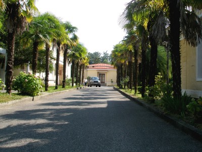 P7140368.jpg (761.95 Кб) Просмотров: 18197 P7140368.jpg