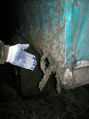 49.JPG (691.08 Кб) Просмотров: 20793 49.JPG